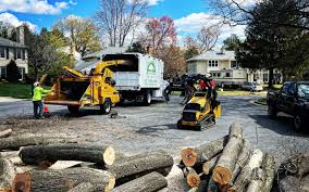 Leaf Removal in Jacksonwald, PA